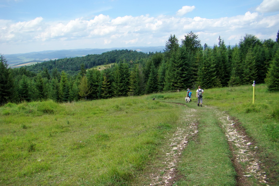 Bukovec a Vysoký vŕšok zo Švedlára (Volovské vrchy)