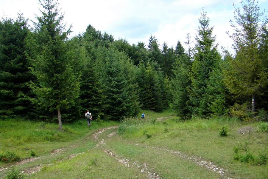 Bukovec a Vysoký vŕšok zo Švedlára (Volovské vrchy)