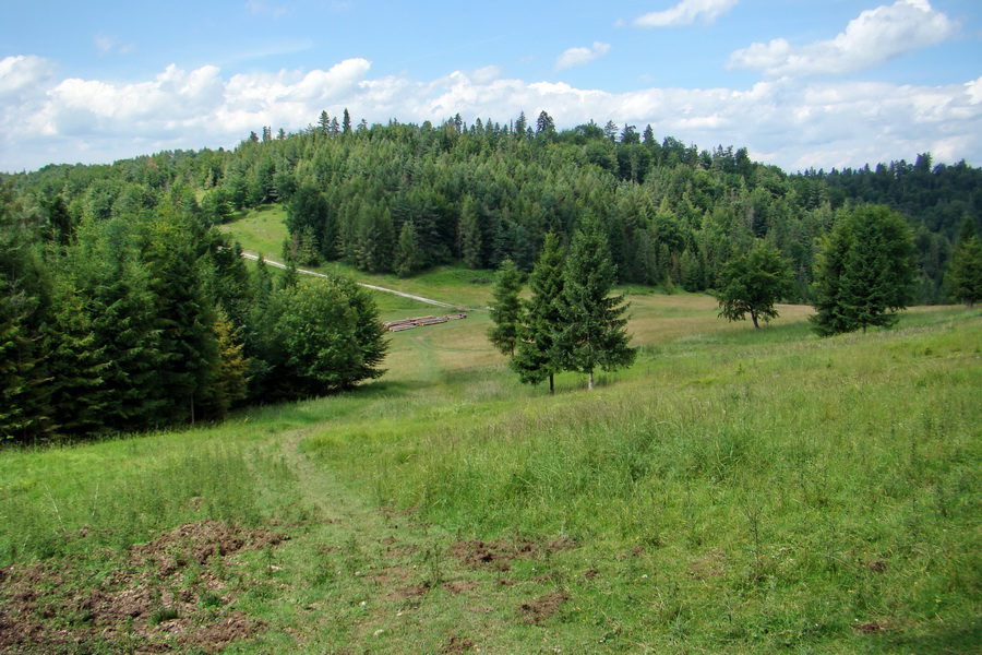 Bukovec a Vysoký vŕšok zo Švedlára (Volovské vrchy)