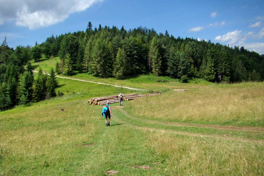 Bukovec a Vysoký vŕšok zo Švedlára (Volovské vrchy)