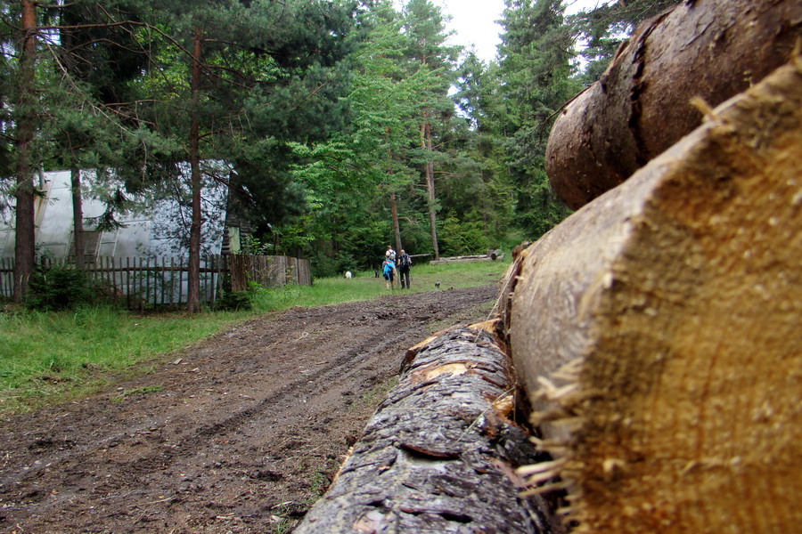 Bukovec a Vysoký vŕšok zo Švedlára (Volovské vrchy)