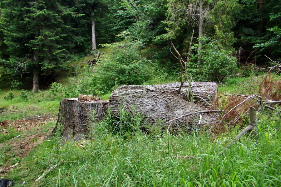 Bukovec a Vysoký vŕšok zo Švedlára (Volovské vrchy)