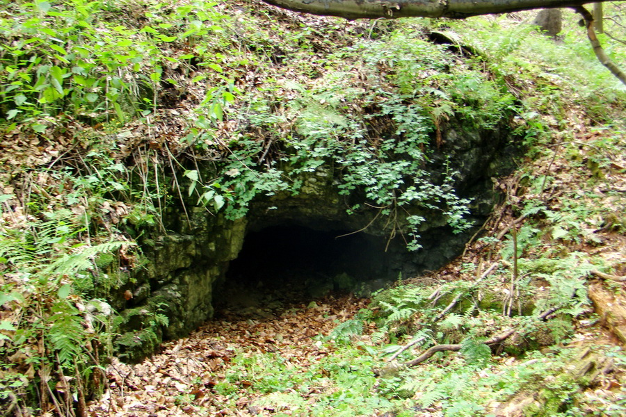 Bukovec a Vysoký vŕšok zo Švedlára (Volovské vrchy)