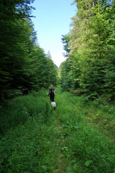 Bukovec a Vysoký vŕšok zo Švedlára (Volovské vrchy)