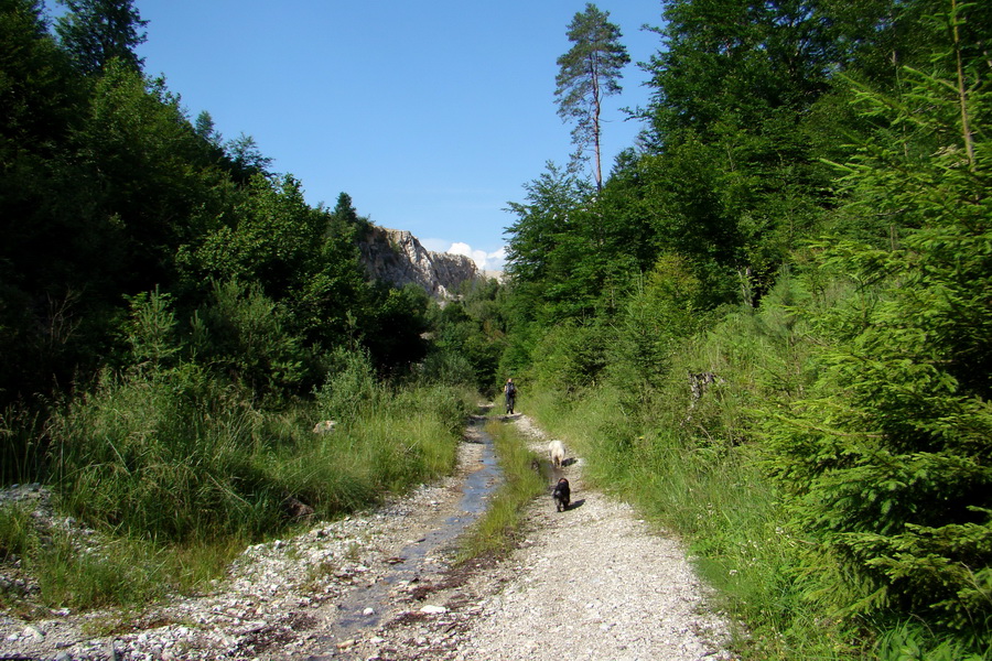 Bukovec a Vysoký vŕšok zo Švedlára (Volovské vrchy)