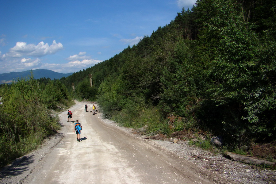 Bukovec a Vysoký vŕšok zo Švedlára (Volovské vrchy)