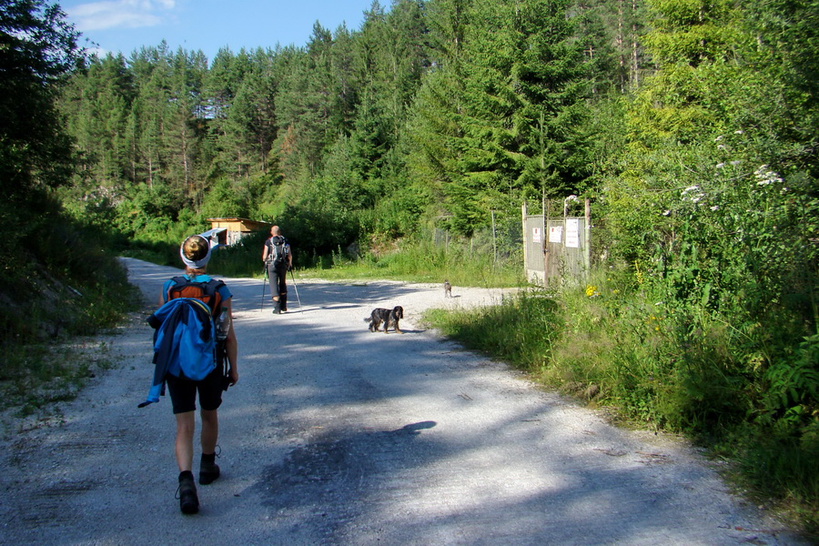 Bukovec a Vysoký vŕšok zo Švedlára (Volovské vrchy)