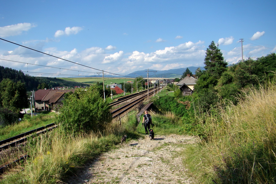 Bukovec a Vysoký vŕšok zo Švedlára (Volovské vrchy)