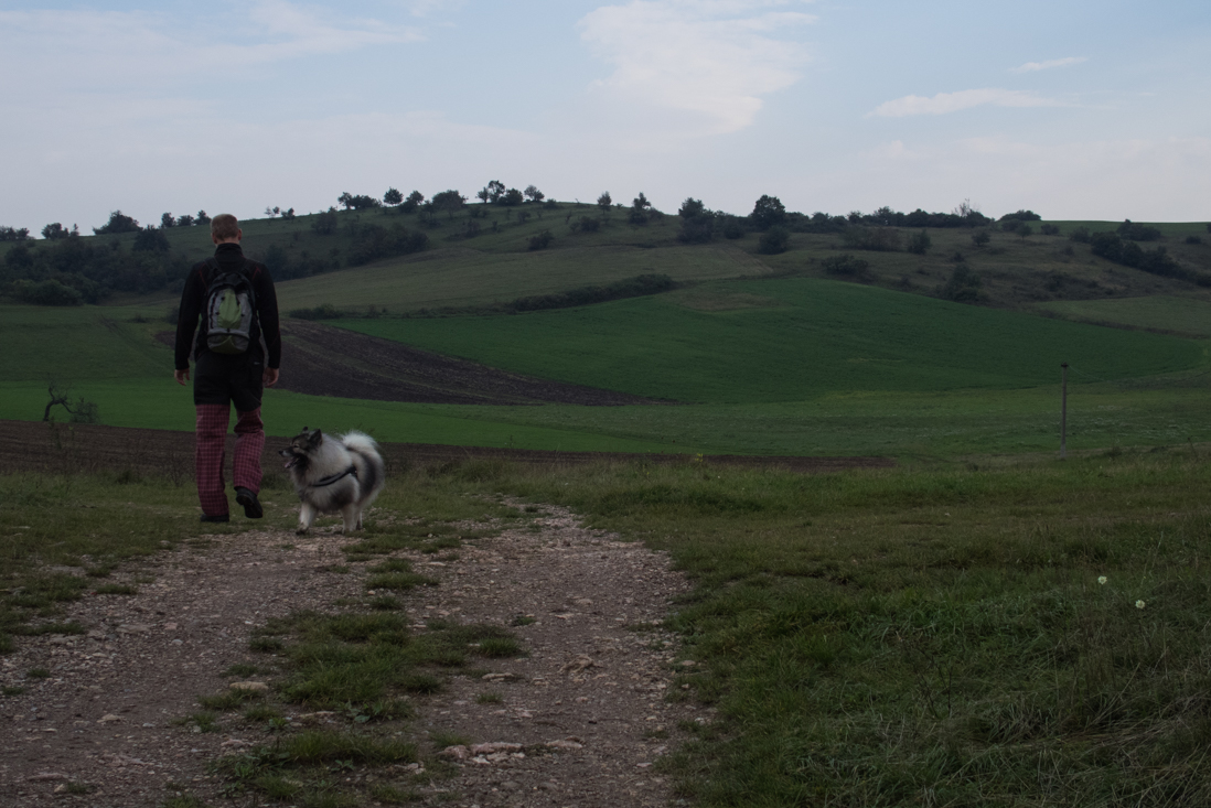 Dievčenská skala zo Silice (Slovenský kras)