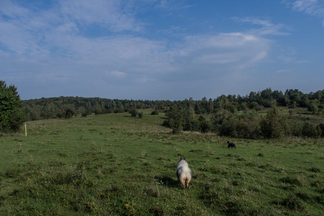 Dievčenská skala zo Silice (Slovenský kras)