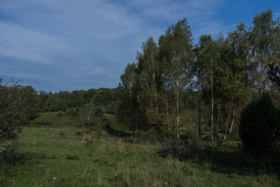 Dievčenská skala zo Silice (Slovenský kras)