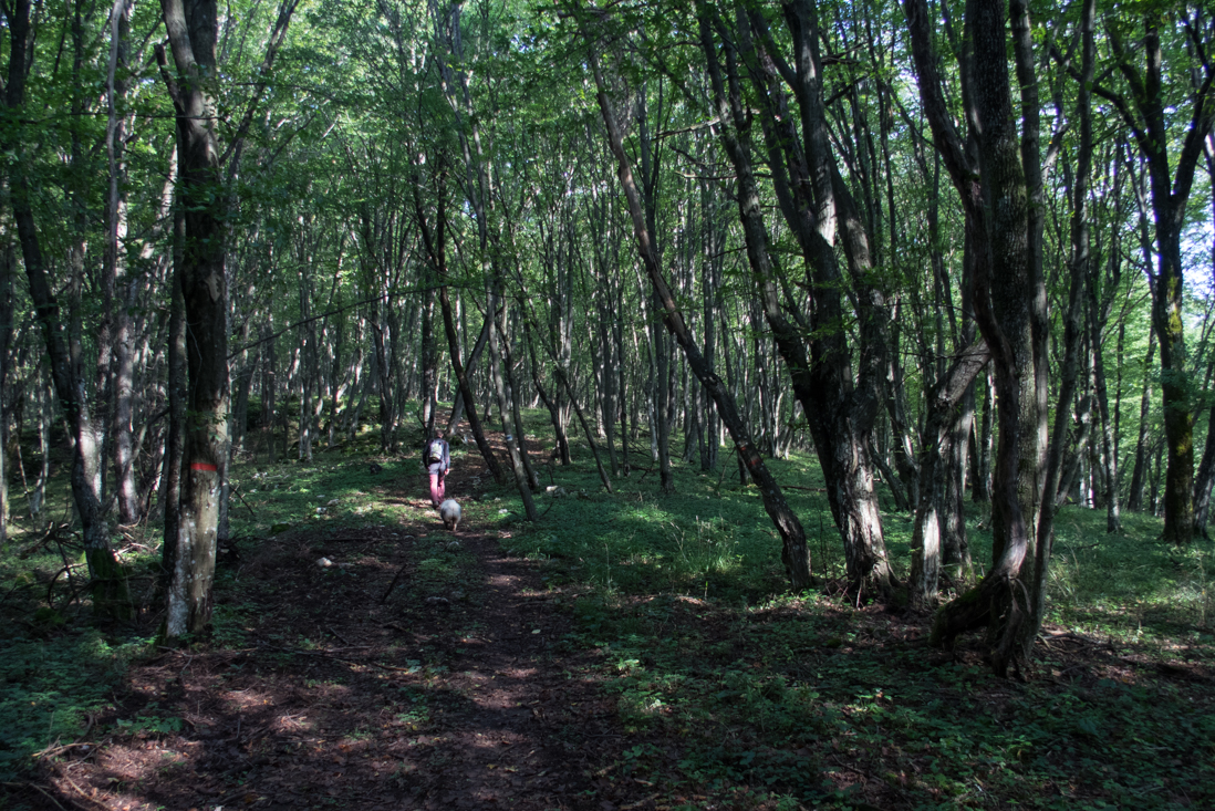 Dievčenská skala zo Silice (Slovenský kras)