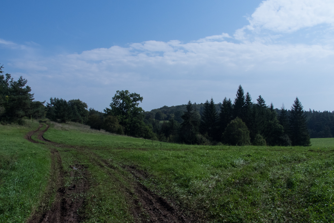 Dievčenská skala zo Silice (Slovenský kras)