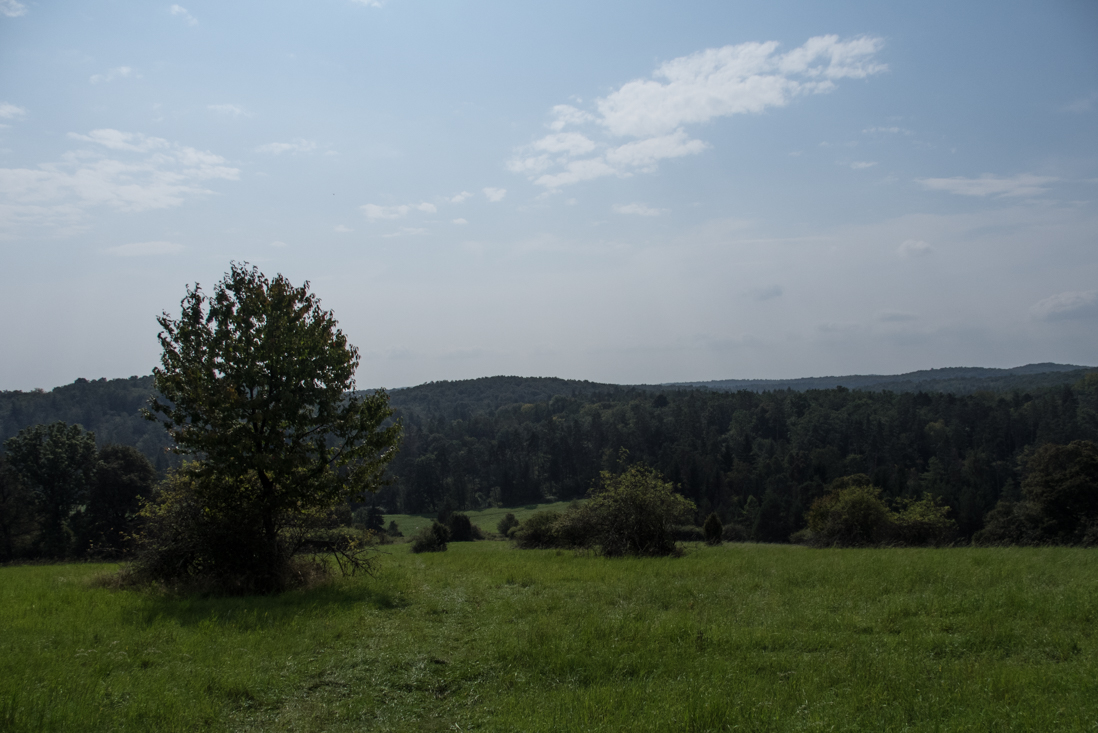 Dievčenská skala zo Silice (Slovenský kras)