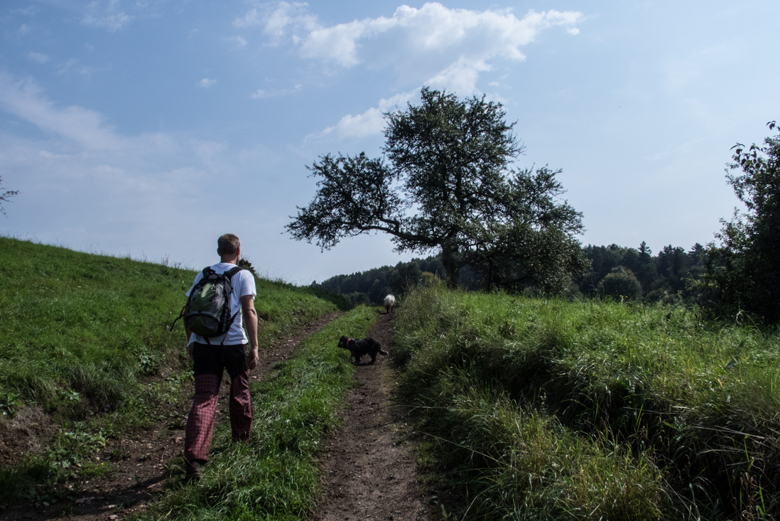 Dievčenská skala zo Silice (Slovenský kras)