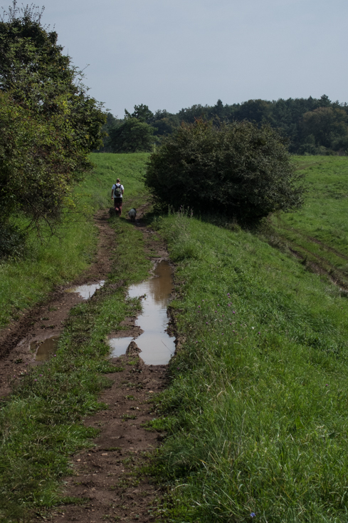 Dievčenská skala zo Silice (Slovenský kras)