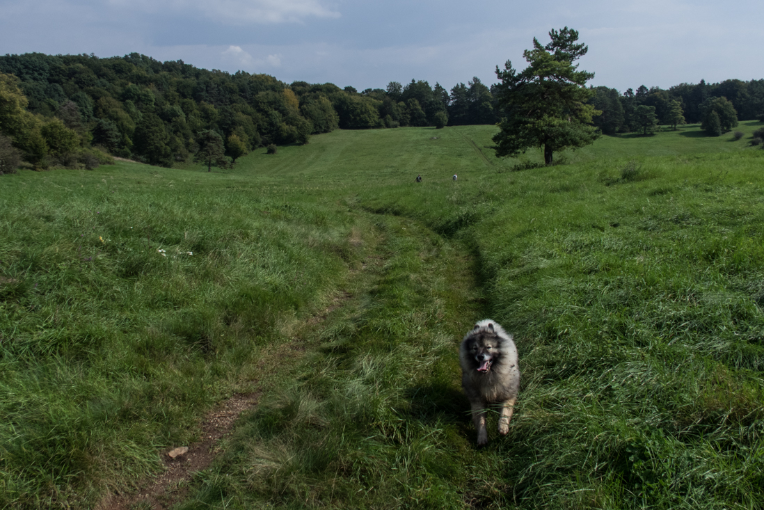 Dievčenská skala zo Silice (Slovenský kras)