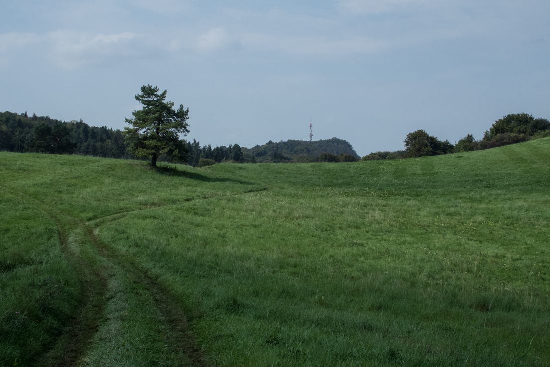 Dievčenská skala zo Silice (Slovenský kras)