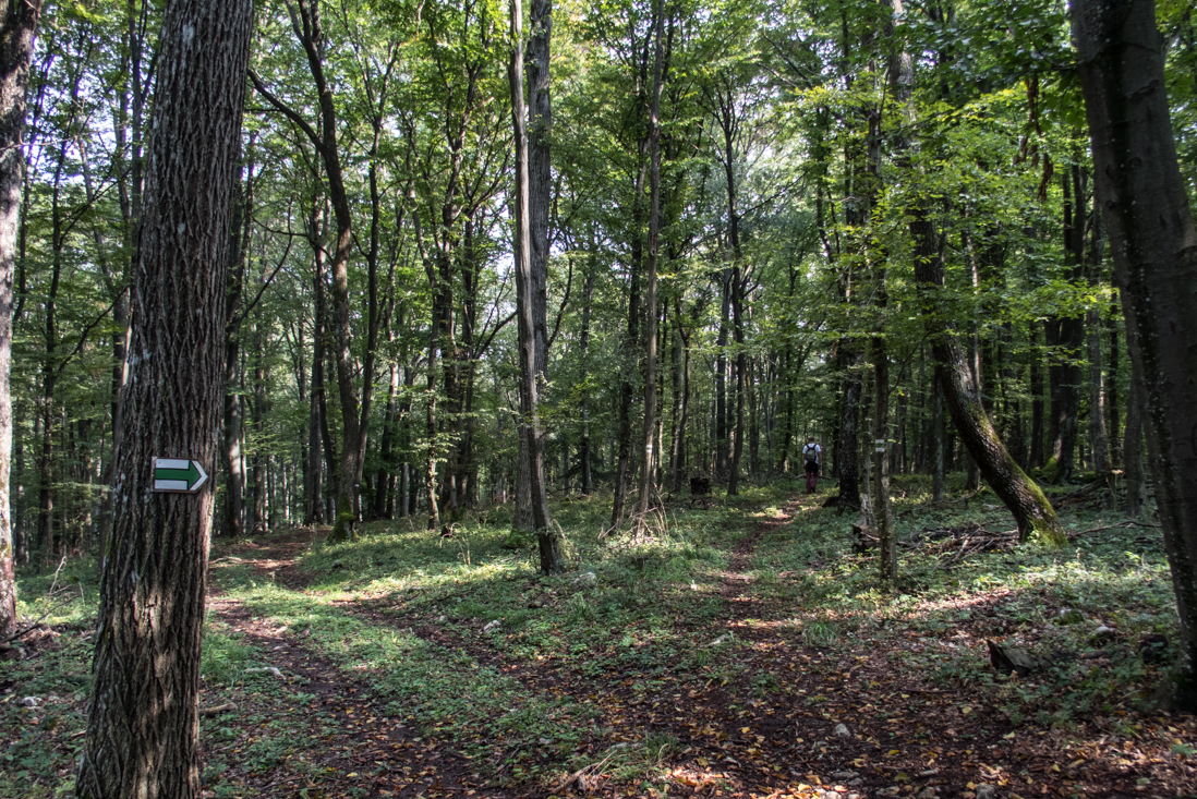 Dievčenská skala zo Silice (Slovenský kras)