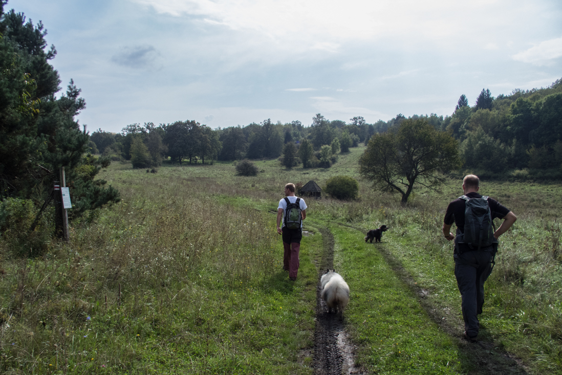 Dievčenská skala zo Silice (Slovenský kras)