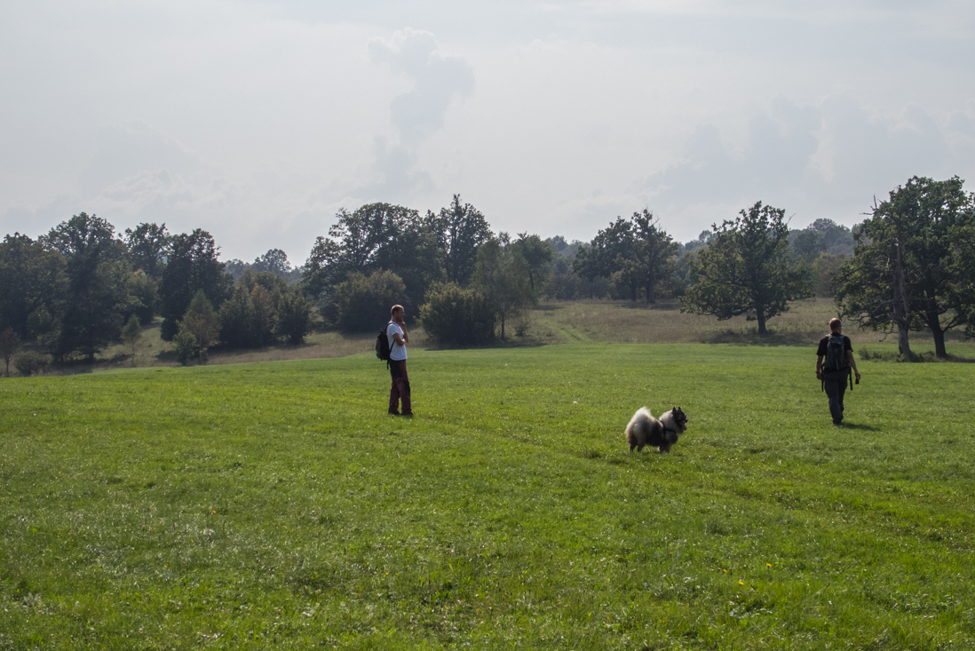 Dievčenská skala zo Silice (Slovenský kras)