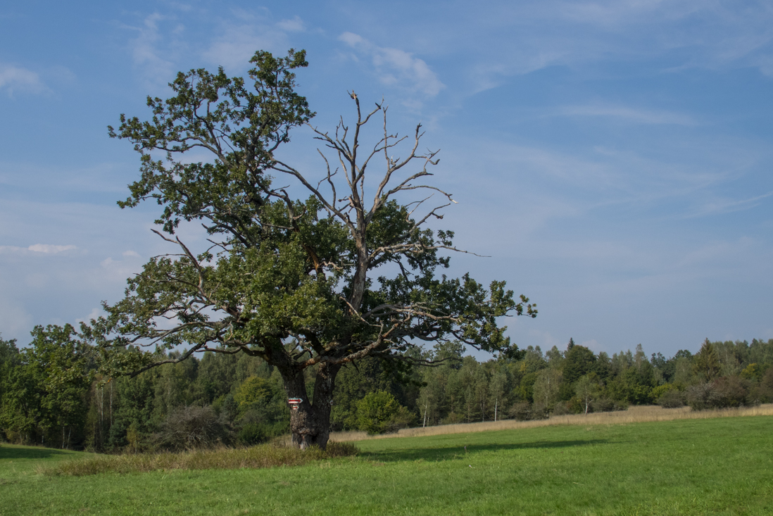 Dievčenská skala zo Silice (Slovenský kras)