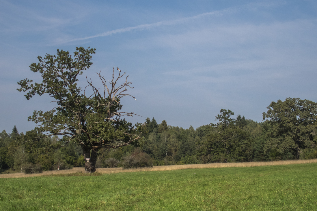 Dievčenská skala zo Silice (Slovenský kras)