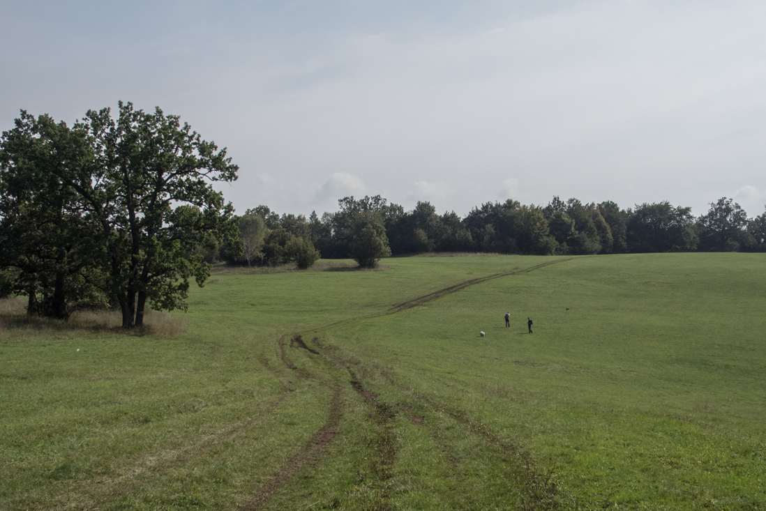 Dievčenská skala zo Silice (Slovenský kras)