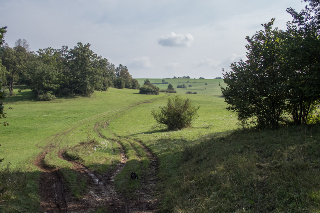 Dievčenská skala zo Silice (Slovenský kras)