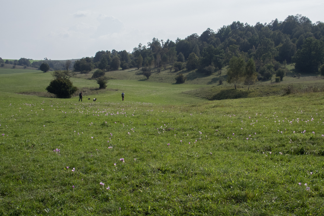 Dievčenská skala zo Silice (Slovenský kras)