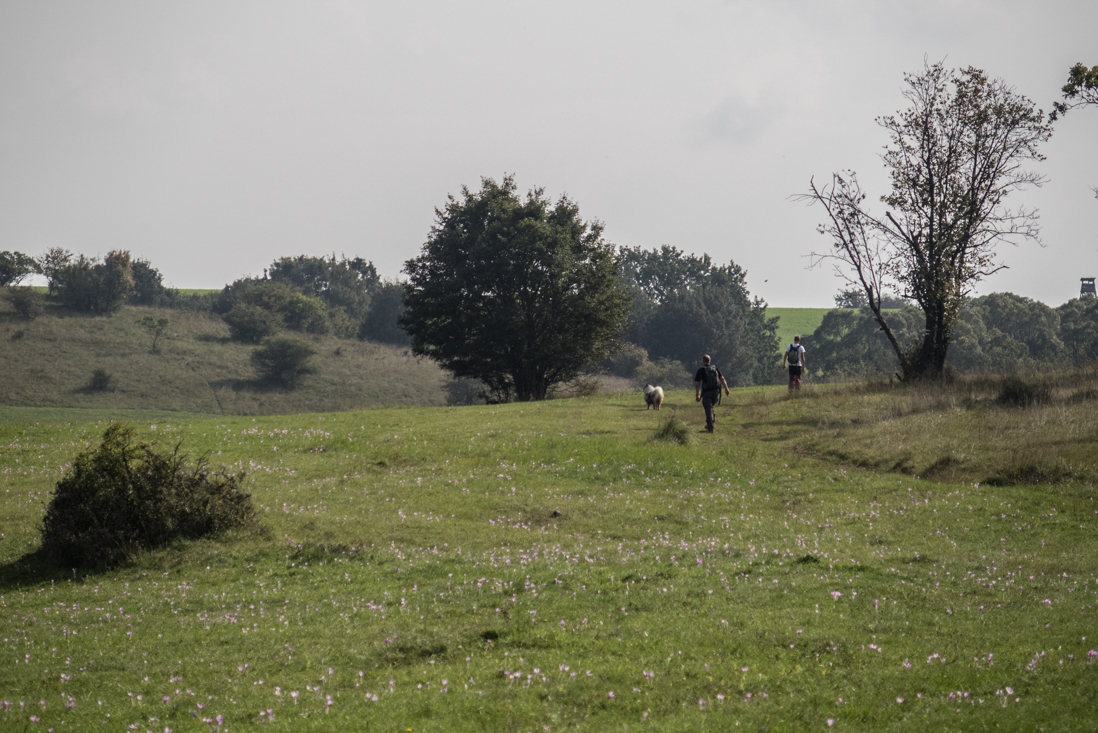 Dievčenská skala zo Silice (Slovenský kras)