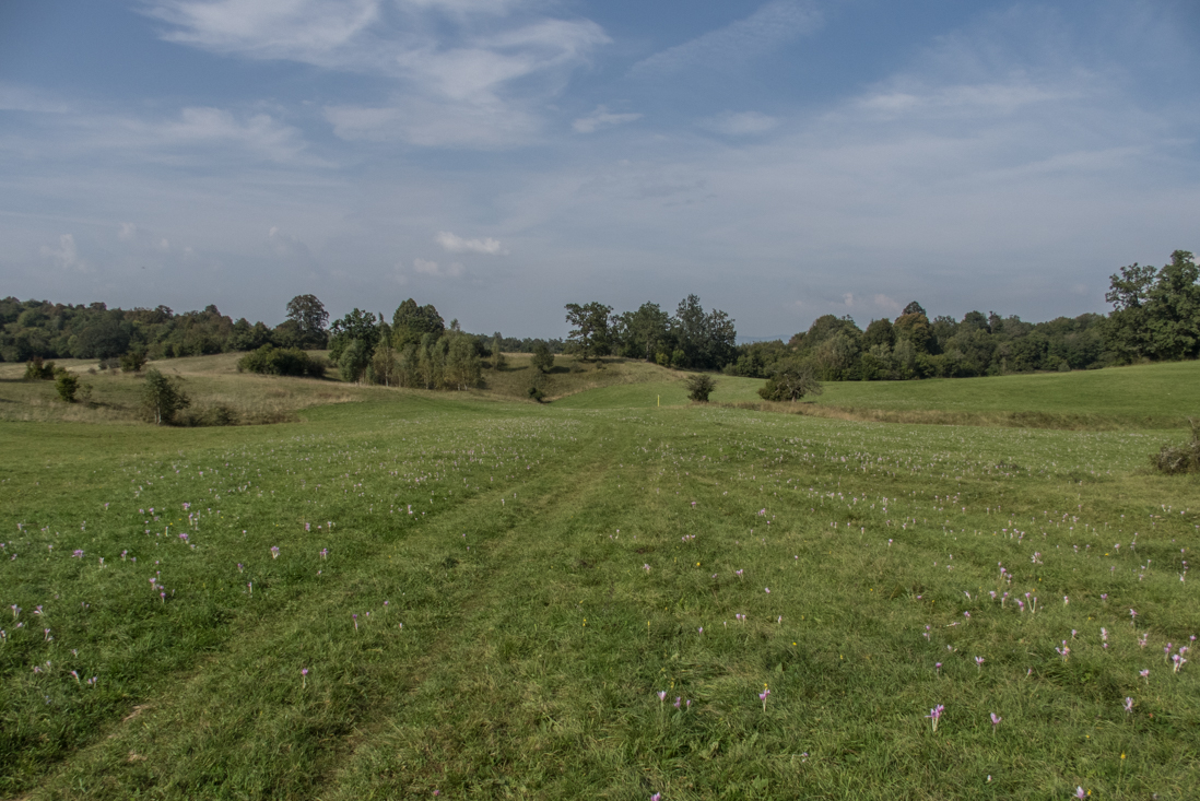 Dievčenská skala zo Silice (Slovenský kras)