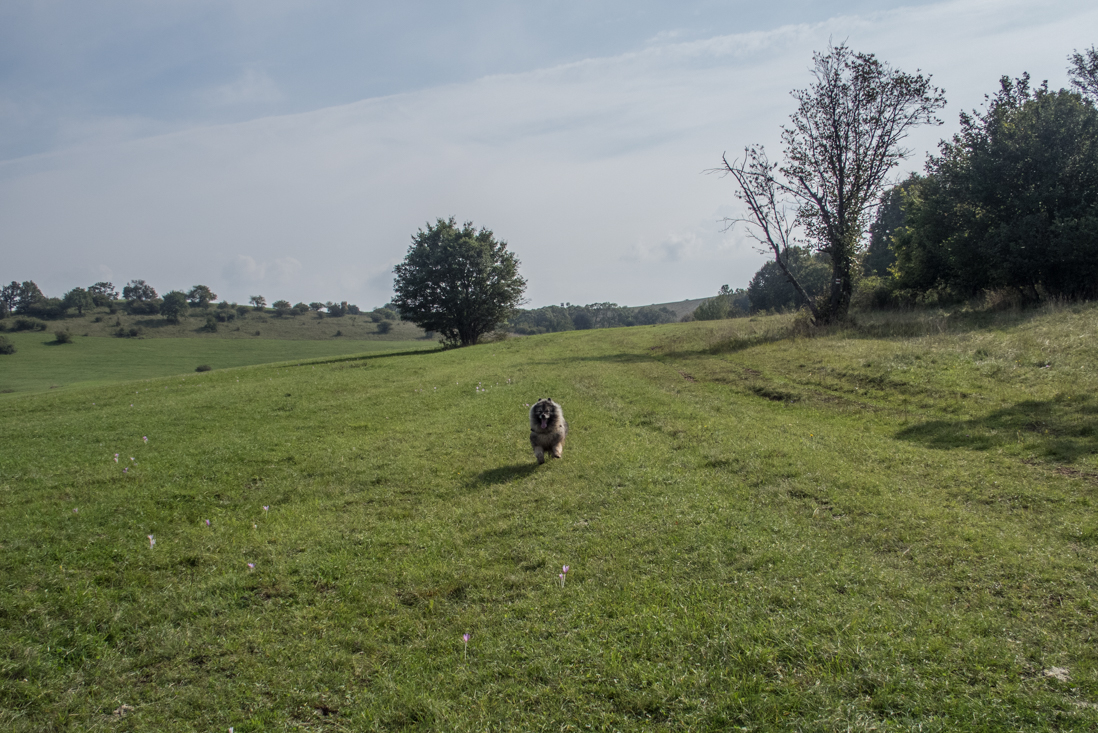 Dievčenská skala zo Silice (Slovenský kras)