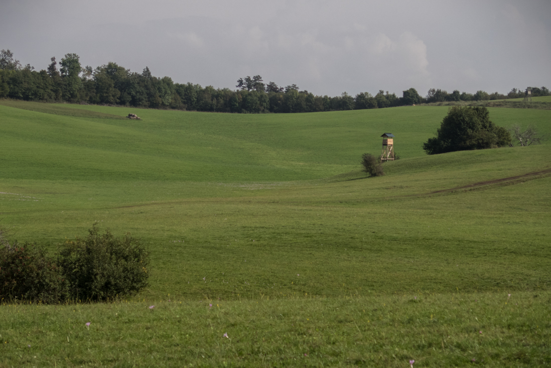 Dievčenská skala zo Silice (Slovenský kras)