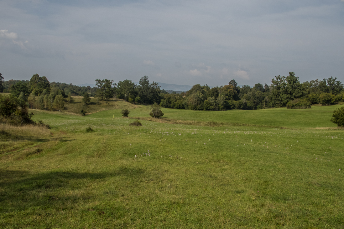 Dievčenská skala zo Silice (Slovenský kras)