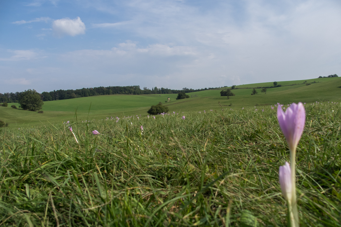 Dievčenská skala zo Silice (Slovenský kras)