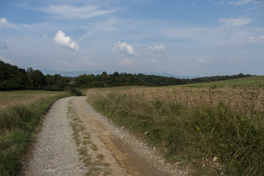 Dievčenská skala zo Silice (Slovenský kras)