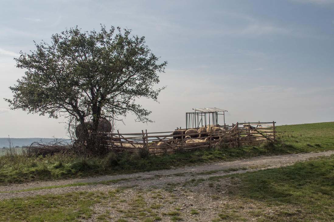 Dievčenská skala zo Silice (Slovenský kras)