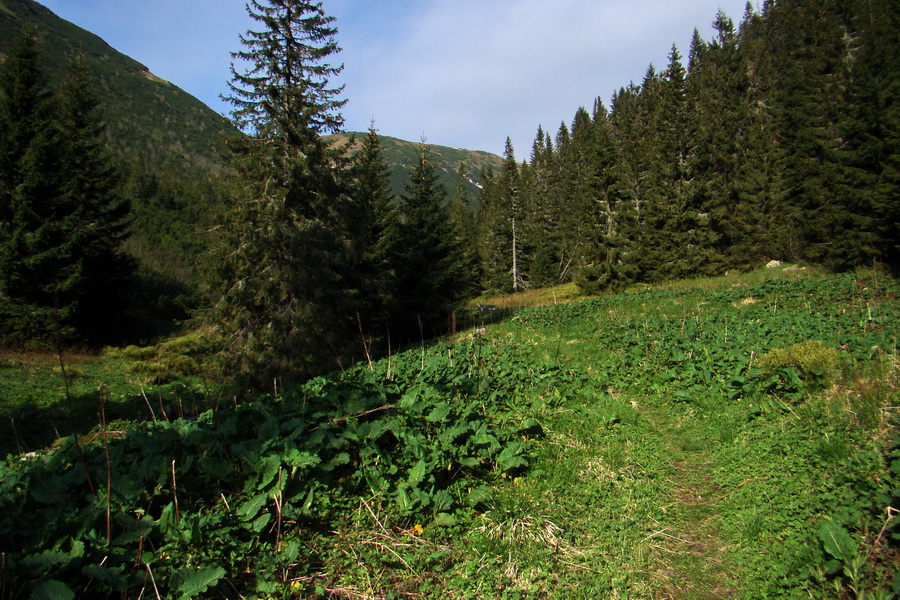 Ďumbier z útulne Brenkus (Nízke Tatry)