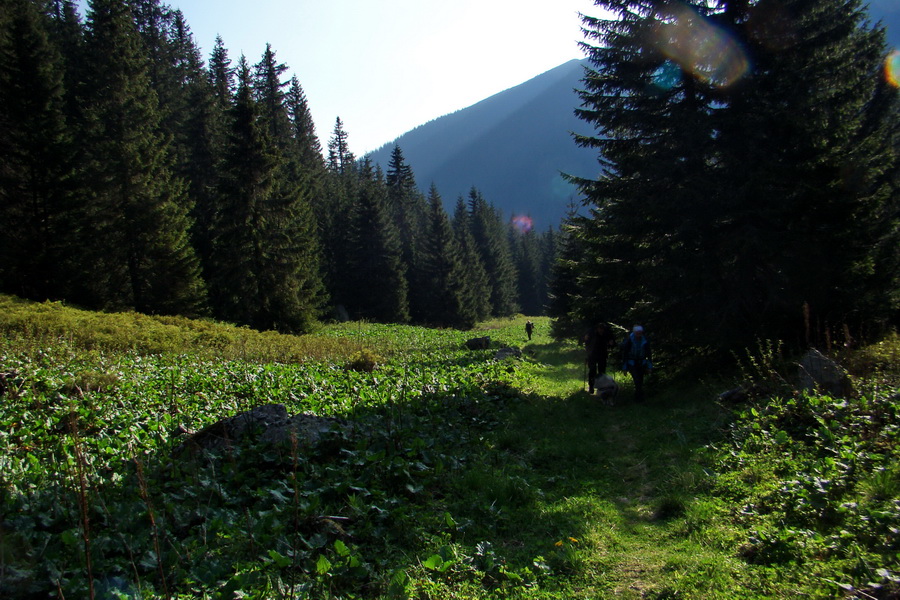 Ďumbier z útulne Brenkus (Nízke Tatry)