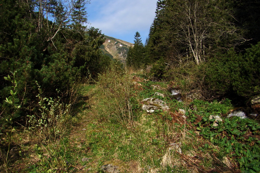 Ďumbier z útulne Brenkus (Nízke Tatry)