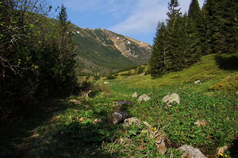 Ďumbier z útulne Brenkus (Nízke Tatry)