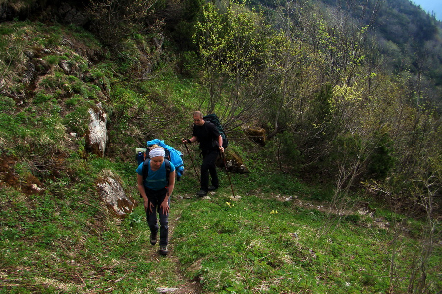 Ďumbier z útulne Brenkus (Nízke Tatry)