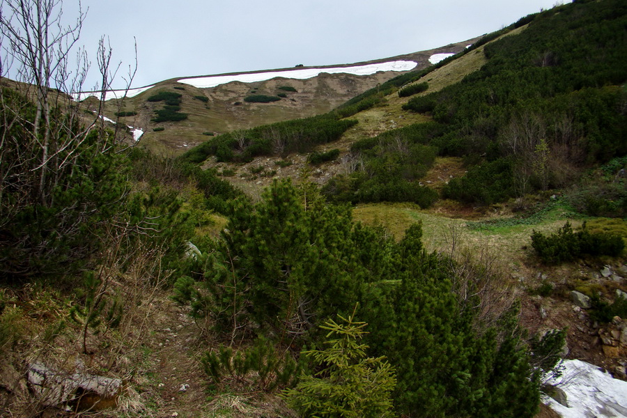 Ďumbier z útulne Brenkus (Nízke Tatry)