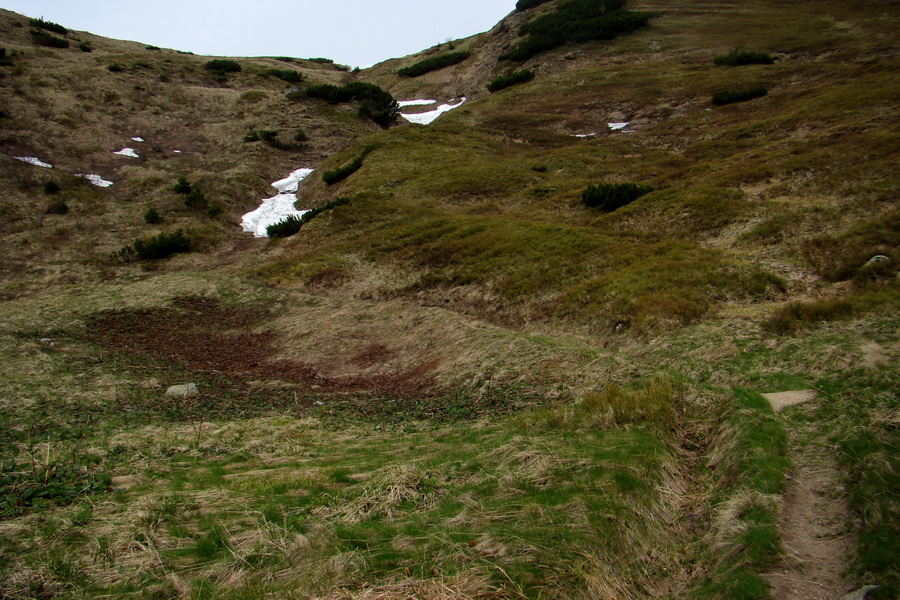 Ďumbier z útulne Brenkus (Nízke Tatry)