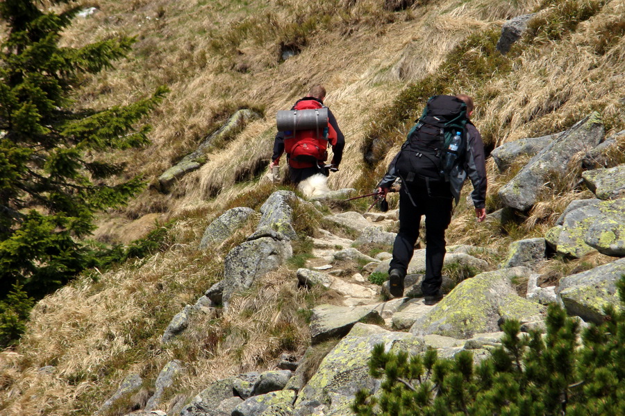 Ďumbier z útulne Brenkus (Nízke Tatry)