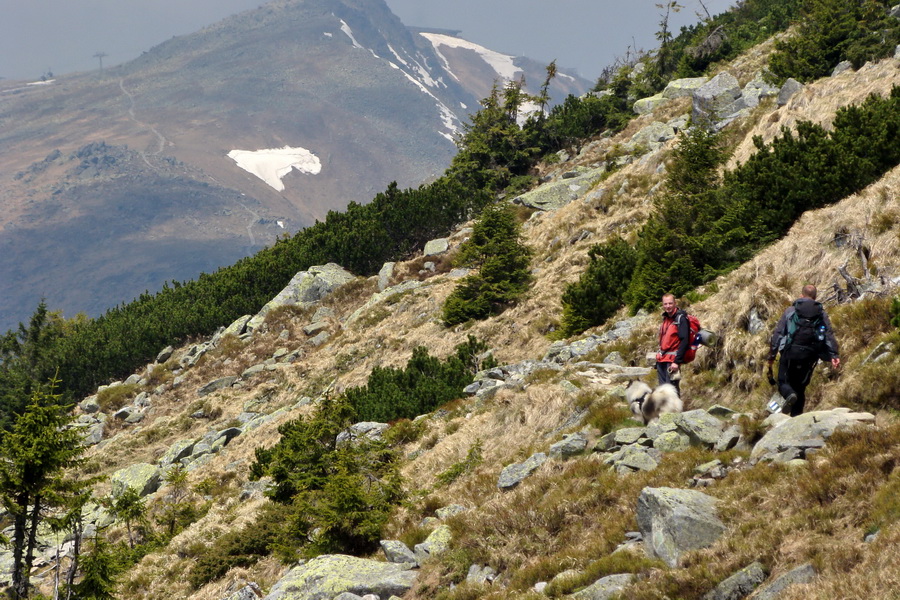 Ďumbier z útulne Brenkus (Nízke Tatry)