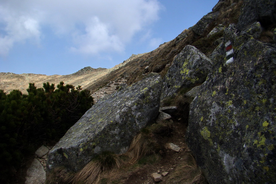 Ďumbier z útulne Brenkus (Nízke Tatry)