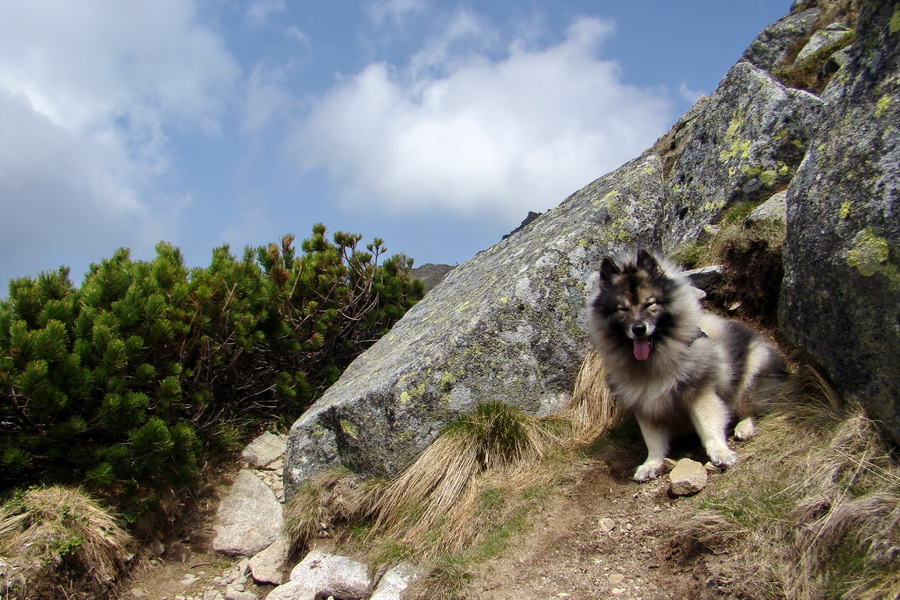 Ďumbier z útulne Brenkus (Nízke Tatry)