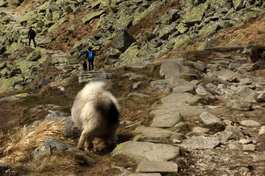 Ďumbier z útulne Brenkus (Nízke Tatry)